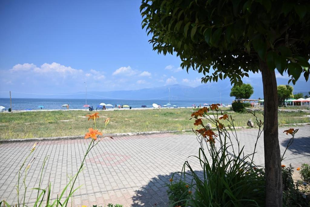B & B Πόγραδετς Εξωτερικό φωτογραφία