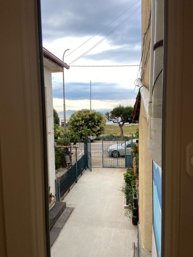 B & B Πόγραδετς Εξωτερικό φωτογραφία